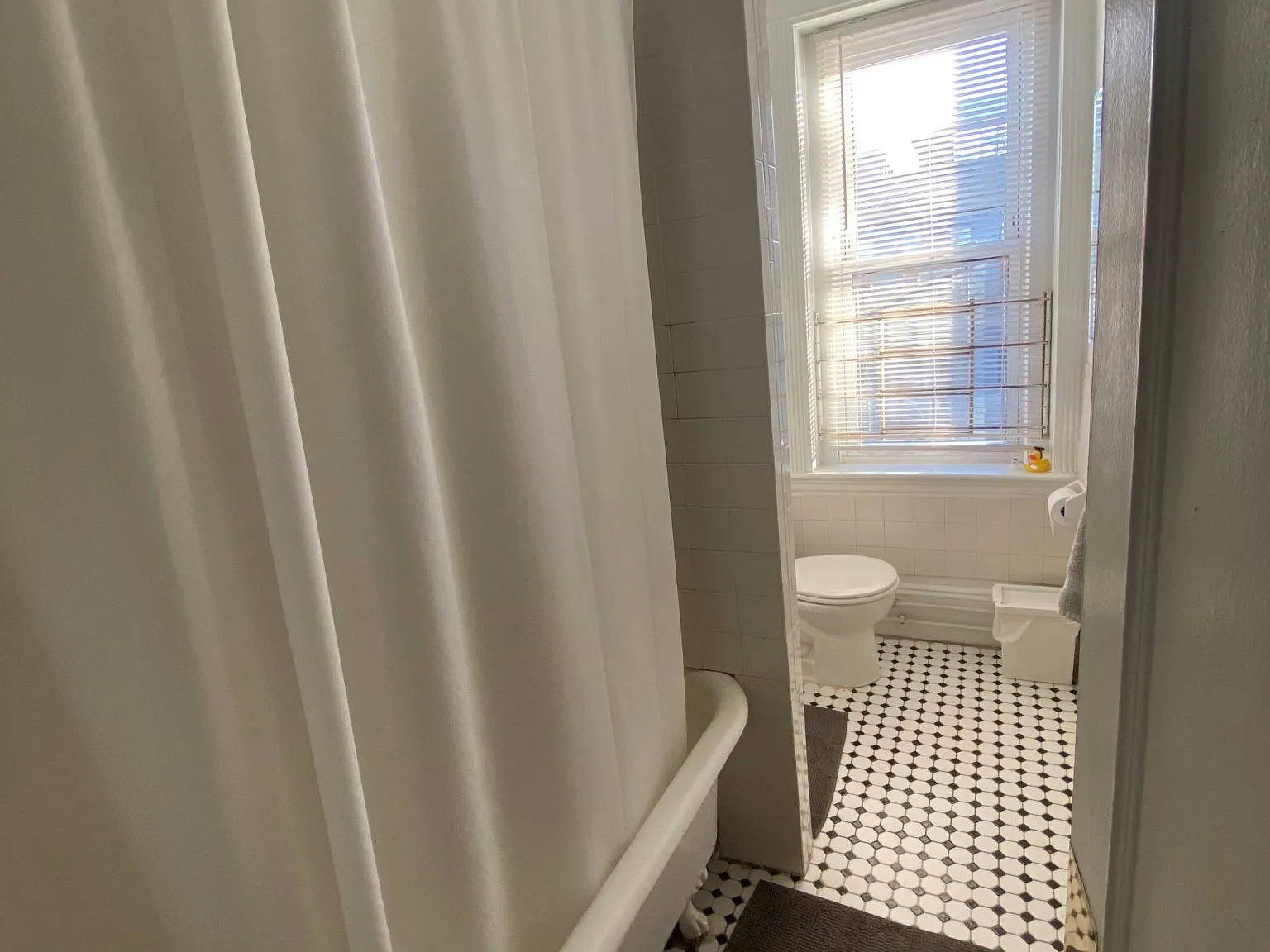 1 bed, 490 sqft, $3,300 — Photo 4