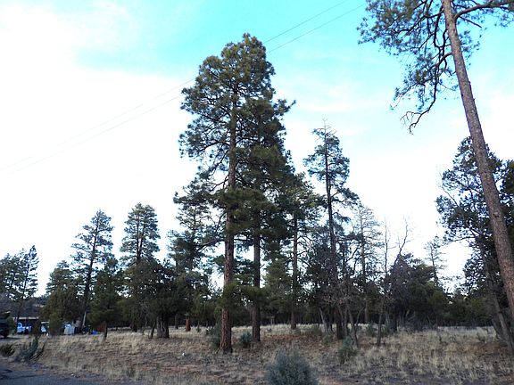 3rd image of 2941 Eagle Ridge Cir