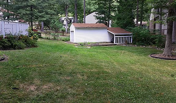 Large fenced backyard