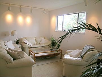 Living Room with Northern Light and Track Lighting on Dimmer Switches