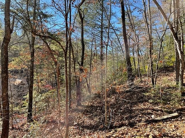 1st image of Silver Poplar Ln