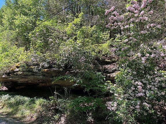 5th image of 402 Byrds Creek Cv