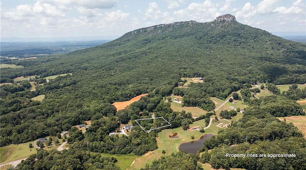 0 Pinnacle Hotel Rd, Pinnacle, NC 27043 Zillow