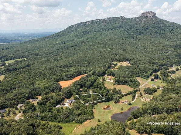 0 Pinnacle Hotel Rd, Pinnacle, NC 27043