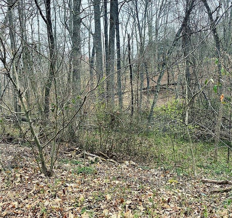 2nd image of 8741 Willow Springs Ln