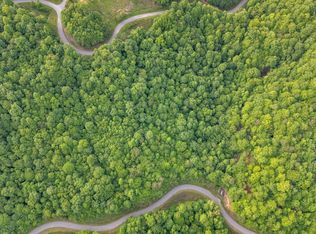 LOT 95 Chimney Rock Rd, New Tazewell, TN 37825