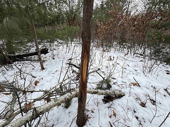 4th image of 120 AC 30th St Acres