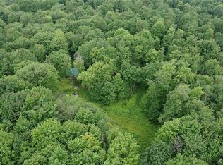 1021 Lewis Rd, Rexville, NY 14877