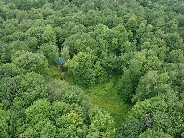 1021 Lewis Rd, Rexville, NY 14877