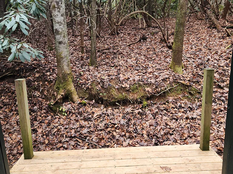 503 & 505 Fox Hollow Rd — Photo 10