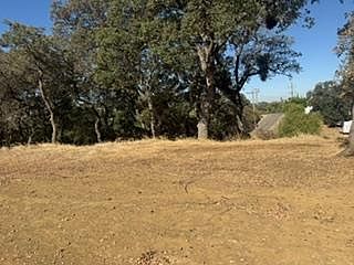 3rd image of 8223 Pardini Pl