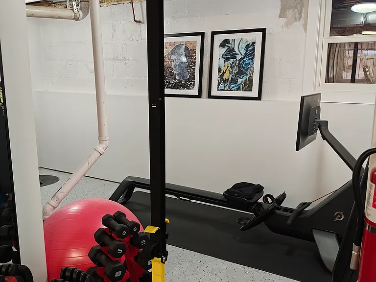 Workout area includes a Peloton rower.