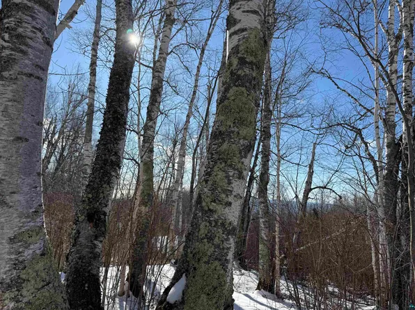 Xx9 Murphy Drive Block Lot 9-1, Grand Marais, MN 55604