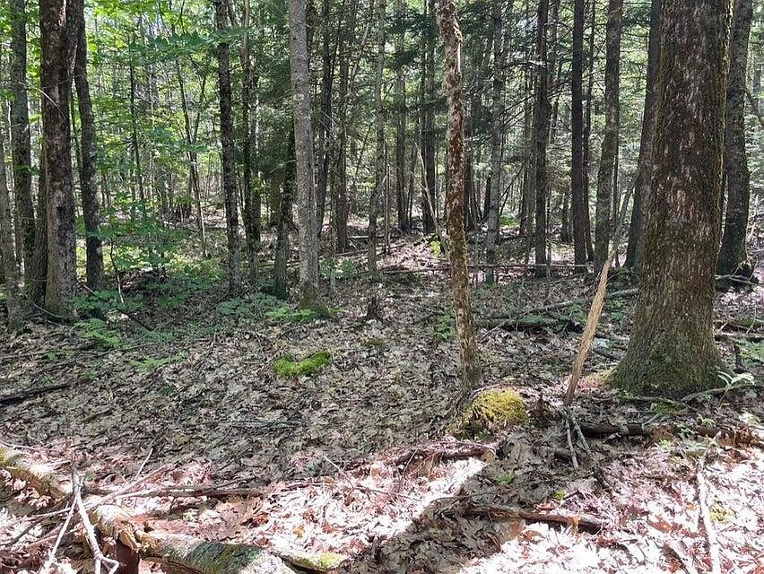 2nd image of Lot 7C West Neck Road