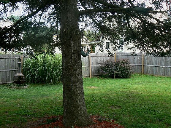 Fenced in Backyard