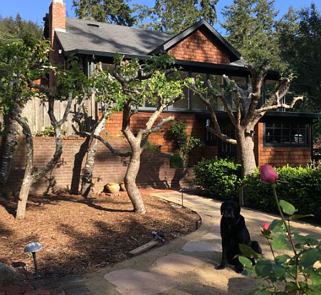 2nd image of 465 Corona Ave