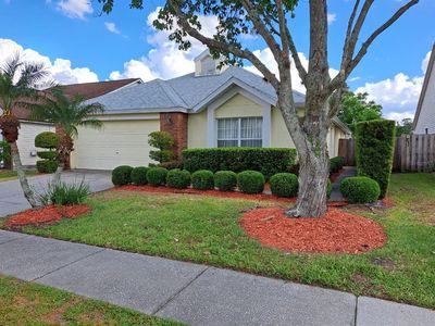 313 Morning Creek Cir, Apopka, FL, 32712
