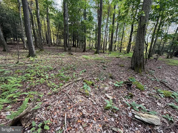 0 Lake Shore Dr, Oakland, MD 21550