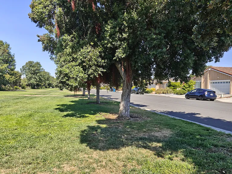 2086 Fairway Glen Dr — Photo 18