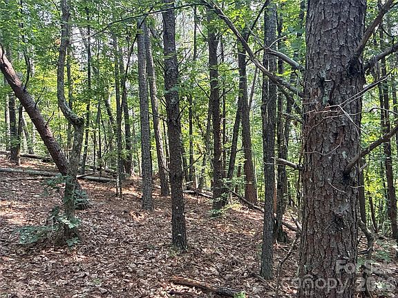 2nd image of 242 Golden Creek Rdg