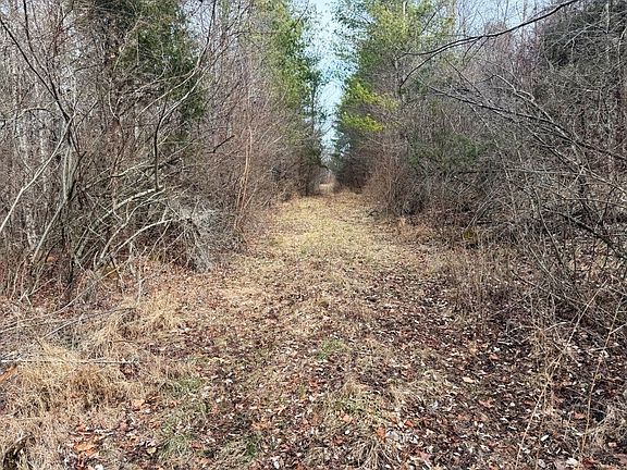 5th image of E Blue Grass Trl