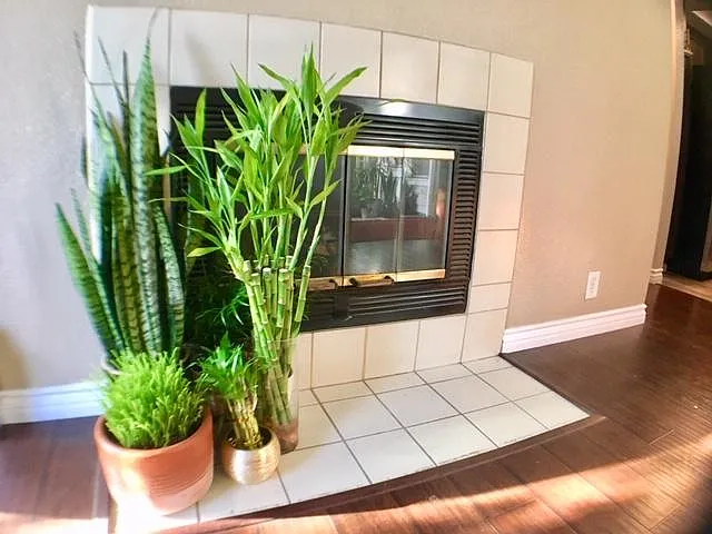 2 bed, 961 sqft, $2,750 — Photo 4
