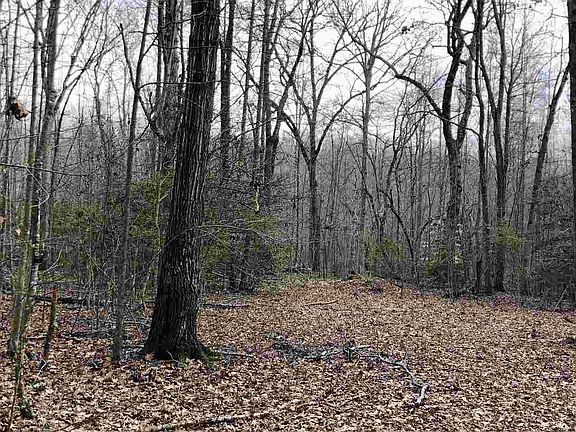 5th image of LOT 4 Valhalla Ct Lot 4