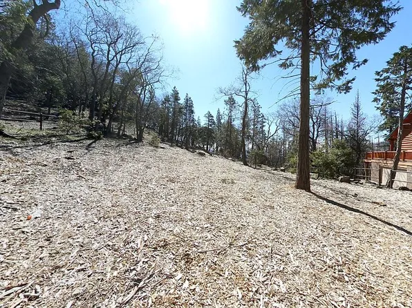 1425 Pinecone Ct, Wofford Heights, CA 93285