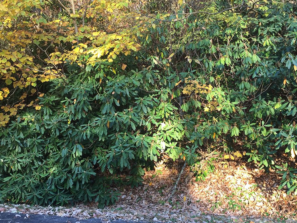 2nd image of Lot 10 Ski Crest Park