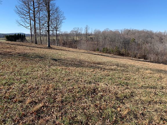 Back side of property slope