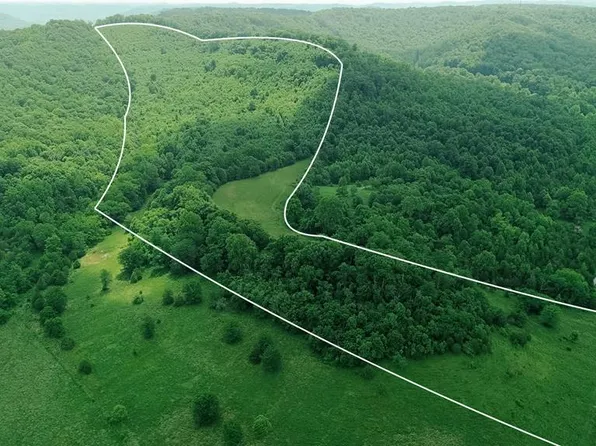 0 W Shaw Hollow Rd, Tollesboro, KY 41189