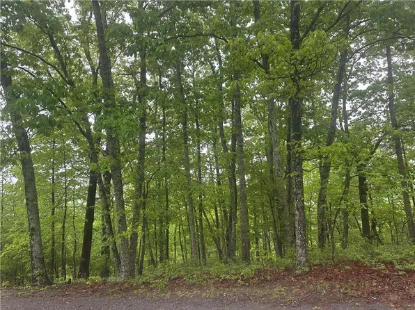 1417 Foxhound Trl NE #1417, Ranger, GA 30734