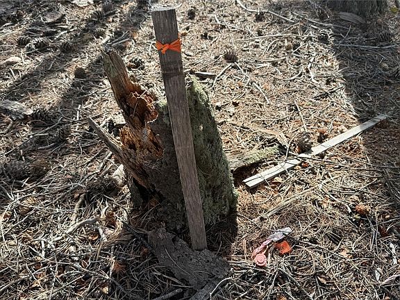 5th image of 461 Paradiso Road