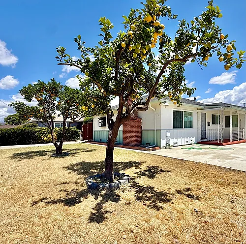 37228 Cedar Blvd #1 Photo 1