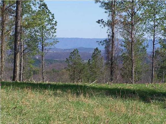 4th image of 216 Talons Ridge Rd