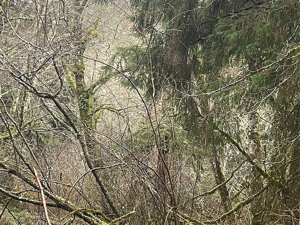 2nd image of 0 X Ward Creek Road