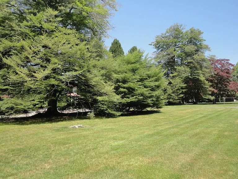 434 Bellevue Ave #CH — Photo 39