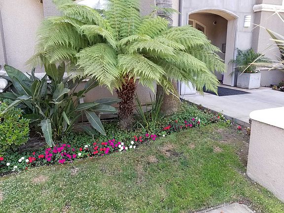 5th image of 3255 Sawtelle Blvd APT 105