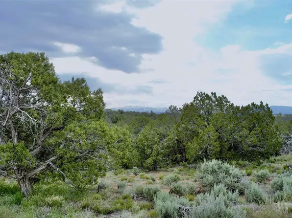 Lot 2 Road 24.3, Cortez, CO 81321