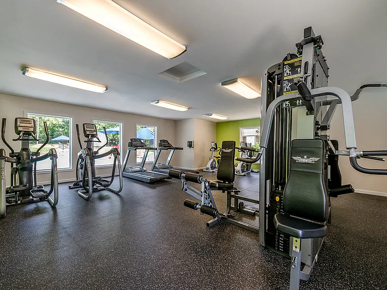 Gym at The Palms