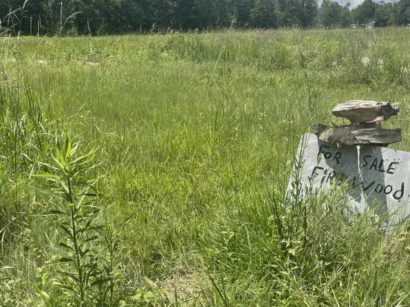 13195 Hodges Ln, Walker, LA 70785