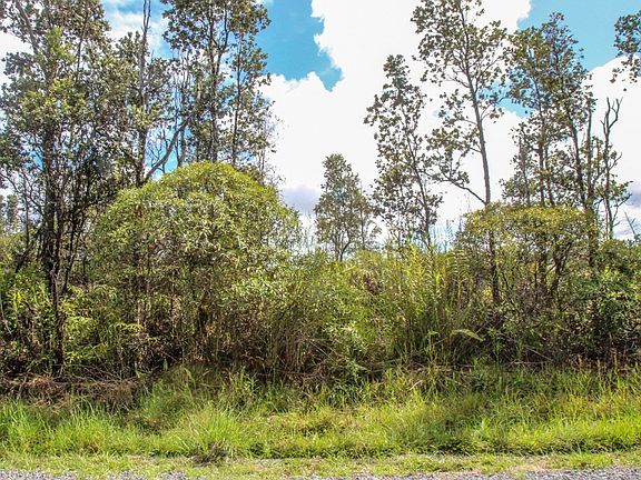 5th image of 15-1638 4th Ave Lot 2504