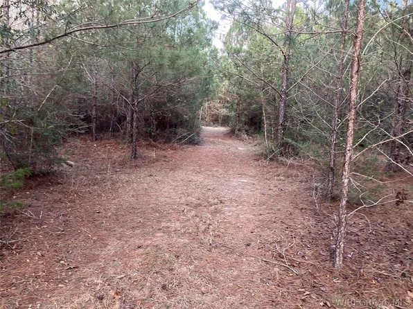 0 Odom Rd, Dozier, AL 36028
