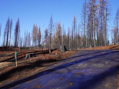 4715 Creekside Dr, Grizzly Flats, CA, 95636