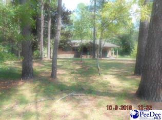 1078 Kemper Church Rd, Lake View, SC 29563