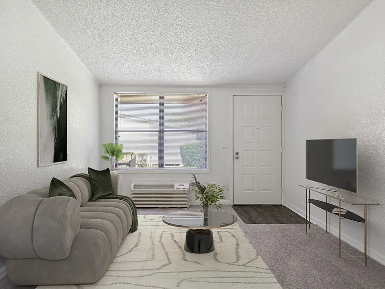Apartment Living Room