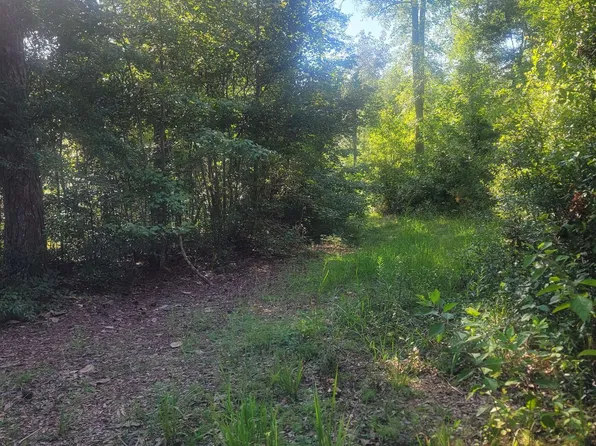 0 Lewis Rd, Cairo, GA 39828