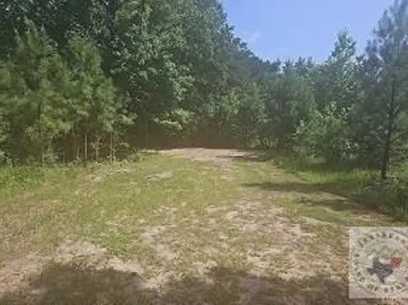 22059 State Highway 154, Diana, TX 75640