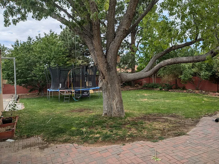 Large backyard from back door
