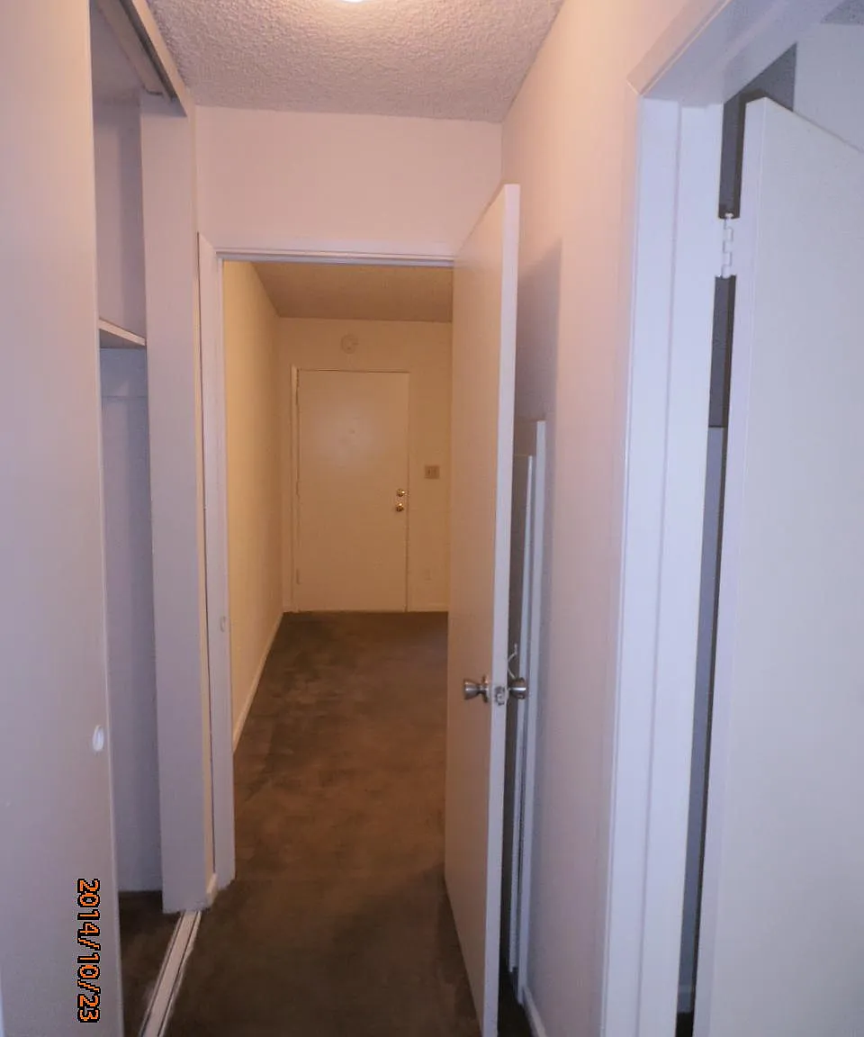 1 bed, $2,650 — Photo 4